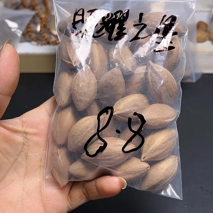 照***星手串/手链橄榄核111