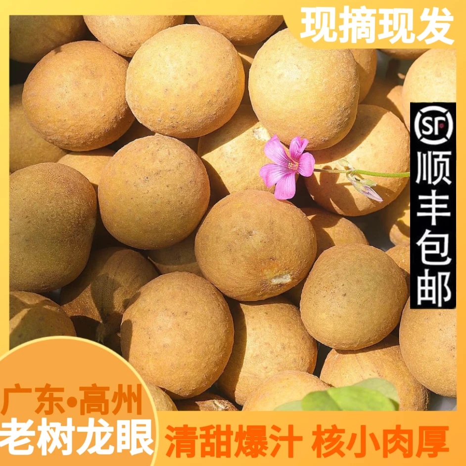 广东茂名高州龙眼头茬石硖龙眼甜蜜爆汁饱满香甜礼盒现摘现发