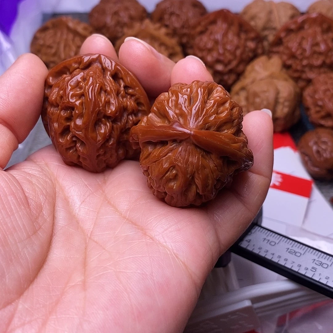 木质类白狮子37。