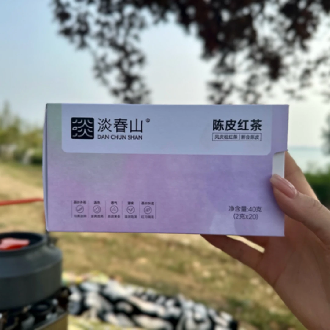 陈皮红茶 便携装 20 包