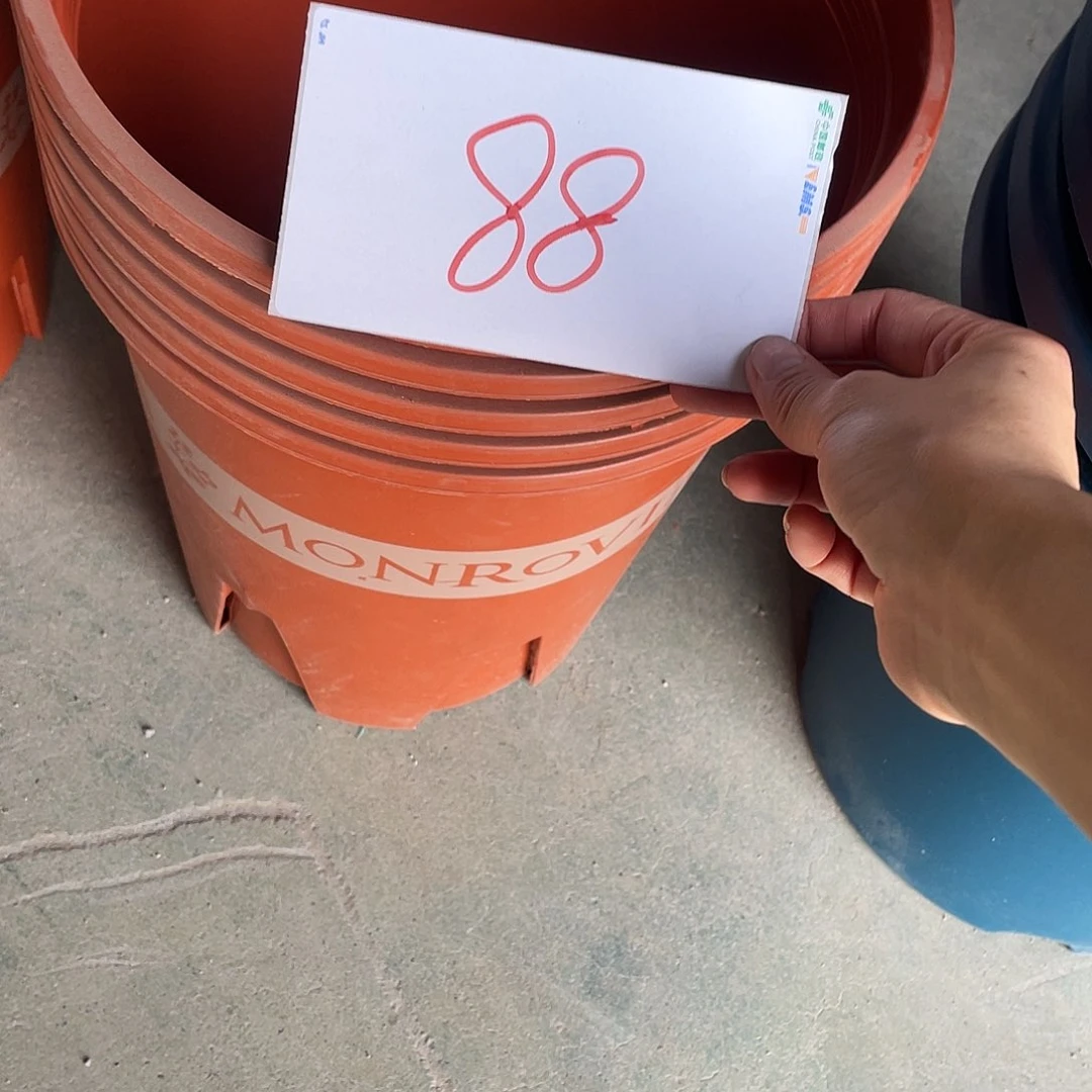 编号88编号88编号88