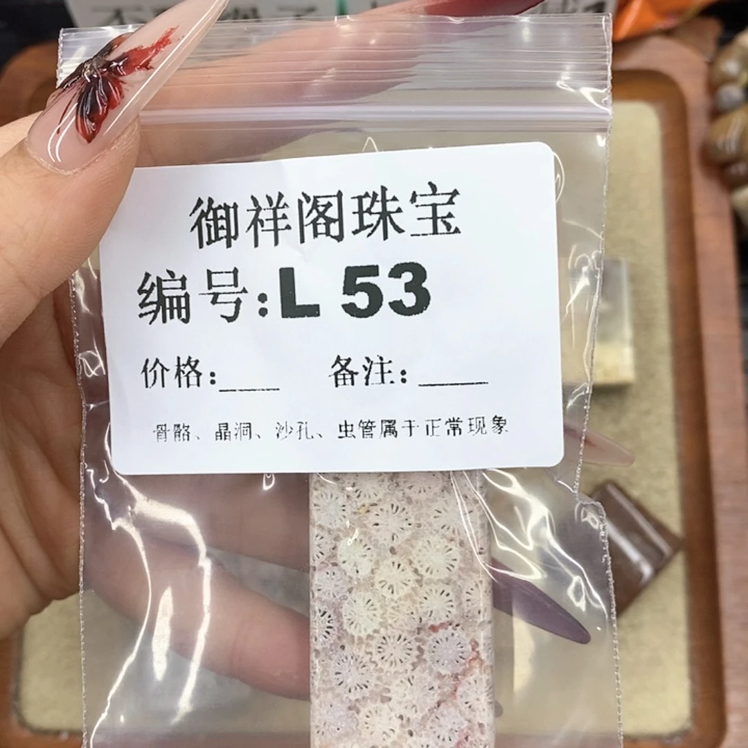 硅化珊瑚（珊瑚玉）颈饰未镶嵌飘