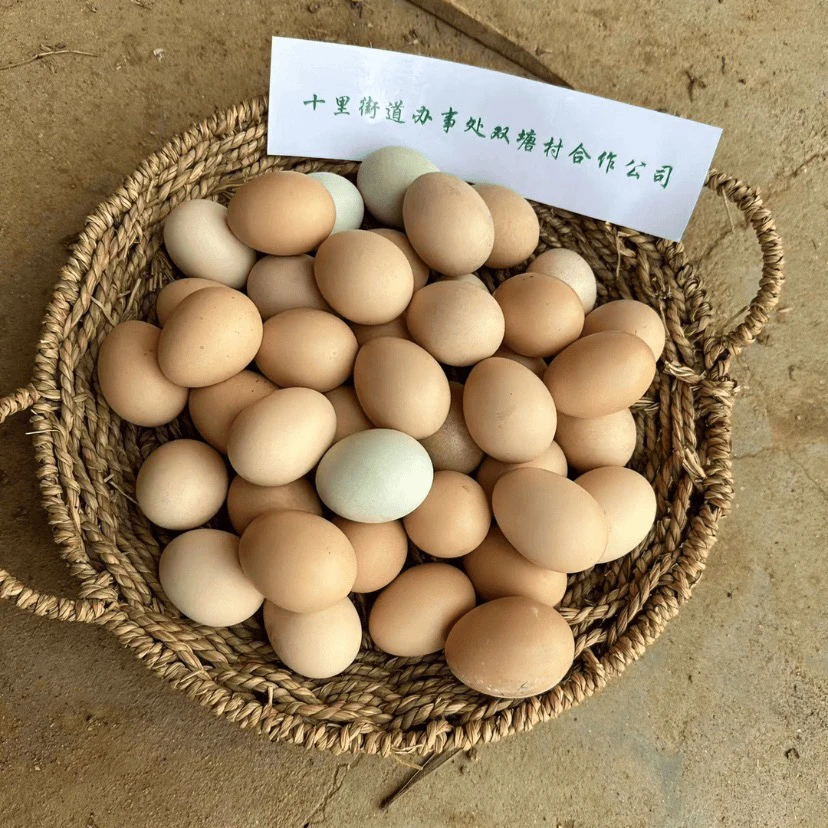 农村散养五谷杂粮喂养土鸡蛋现捡现发初生蛋