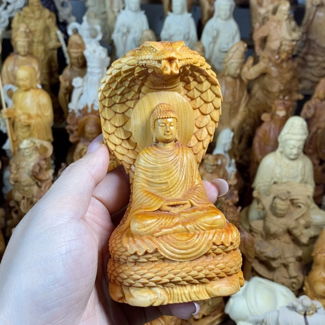 木崖柏12高蛇佛树结