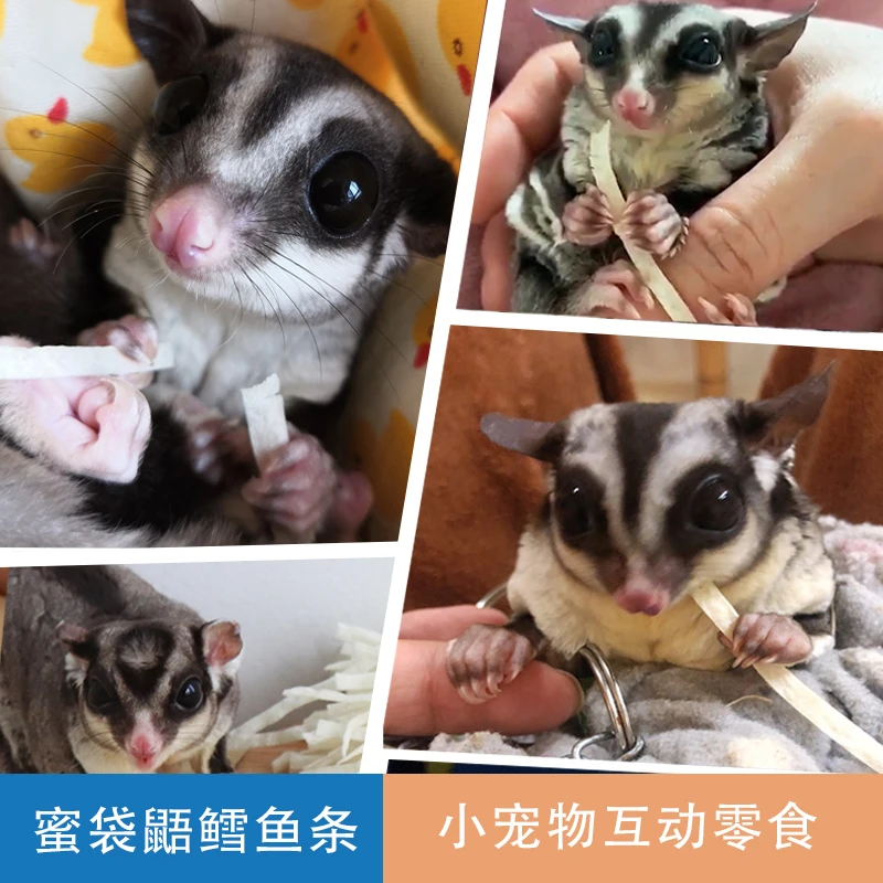 小囧家蜜袋鼯零食鳕鱼条宠物仓鼠松鼠花枝鼠飞鼠刺猬吃的营养食物