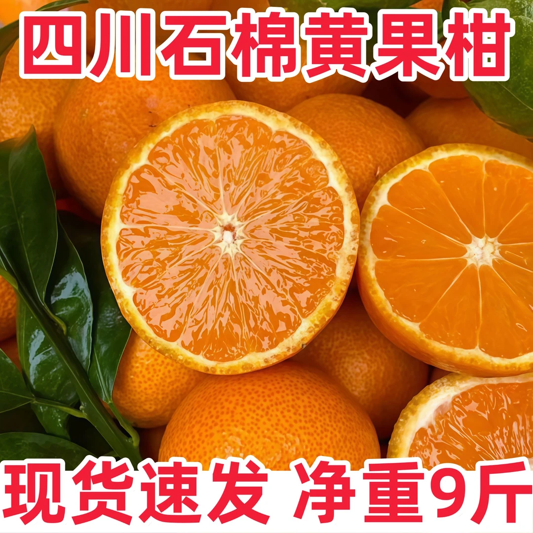 【买7斤送2斤】四川石棉黄果柑现摘现发橘子新鲜水果应季当季