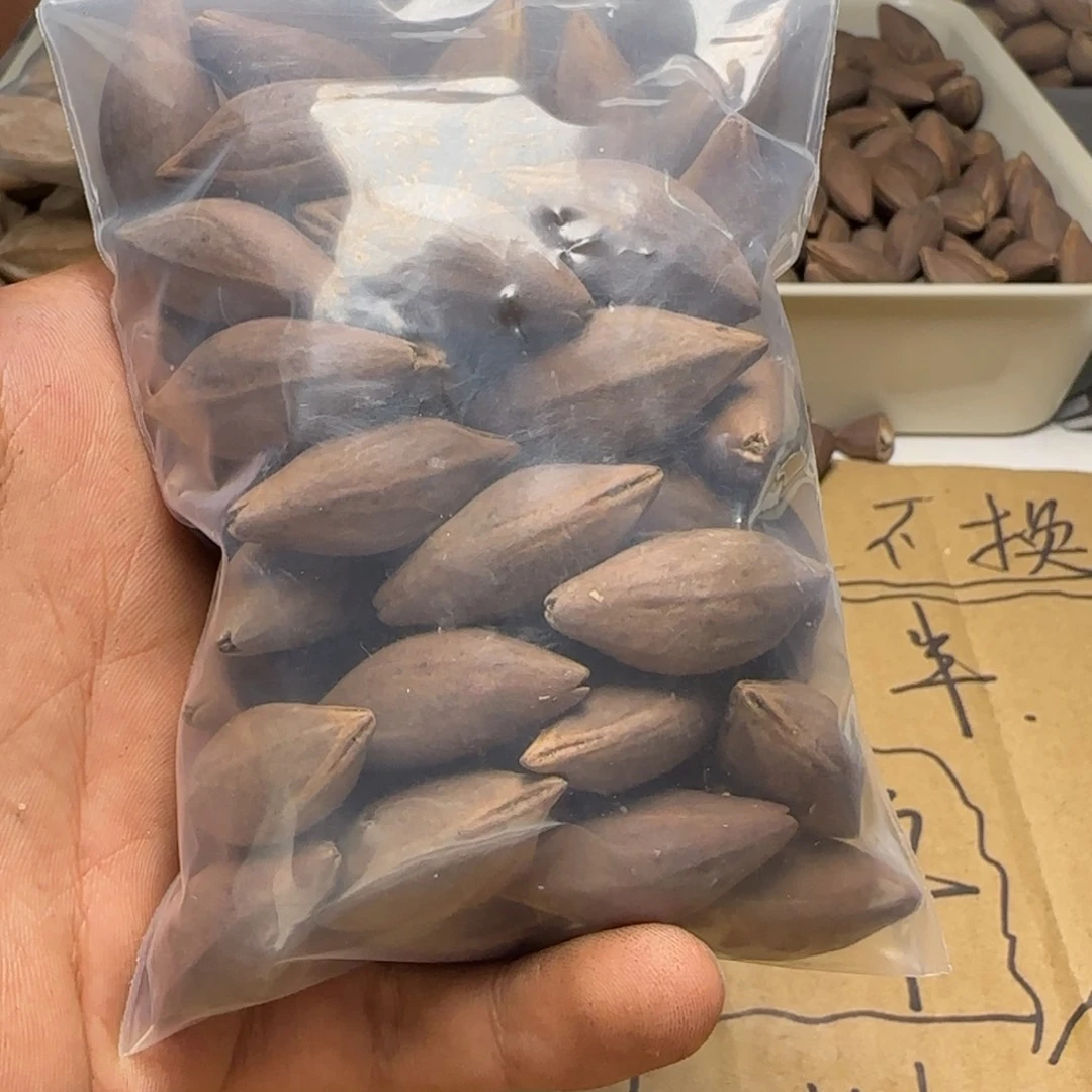 【闪购商品】橄榄核手串/手链?**涯1111111111