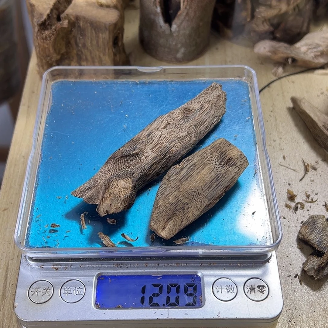 香料绿奇楠虫漏12克乌身