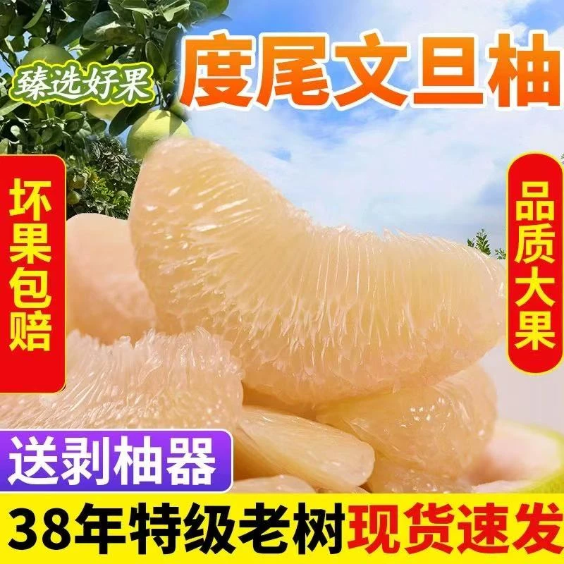 度尾文旦柚红心白心蜜柚福建仙游柚子新鲜应季孕妇水果酸甜多汁