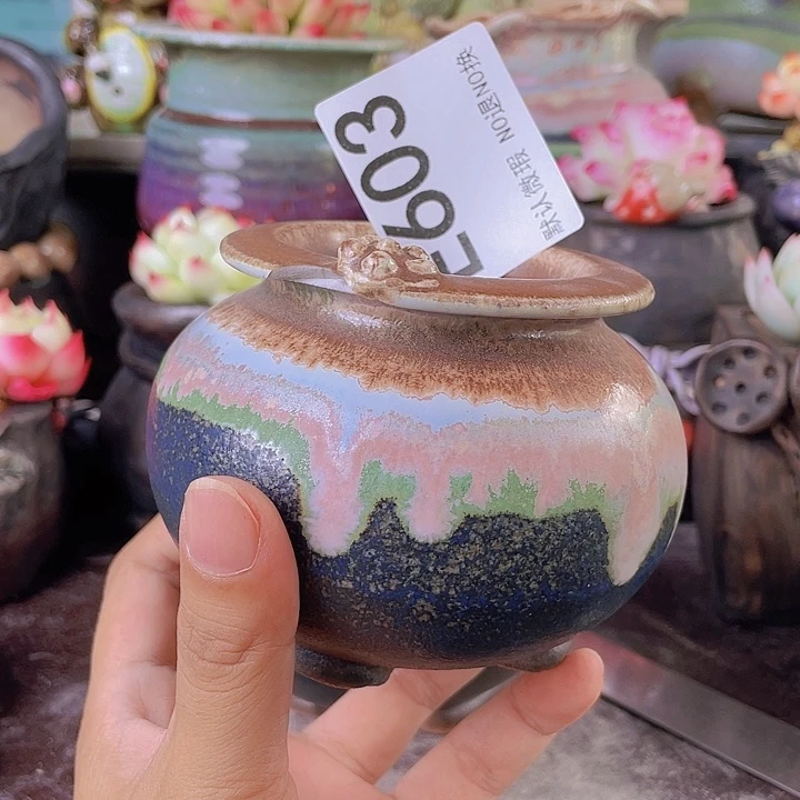 重庆小燕子欢迎大家603