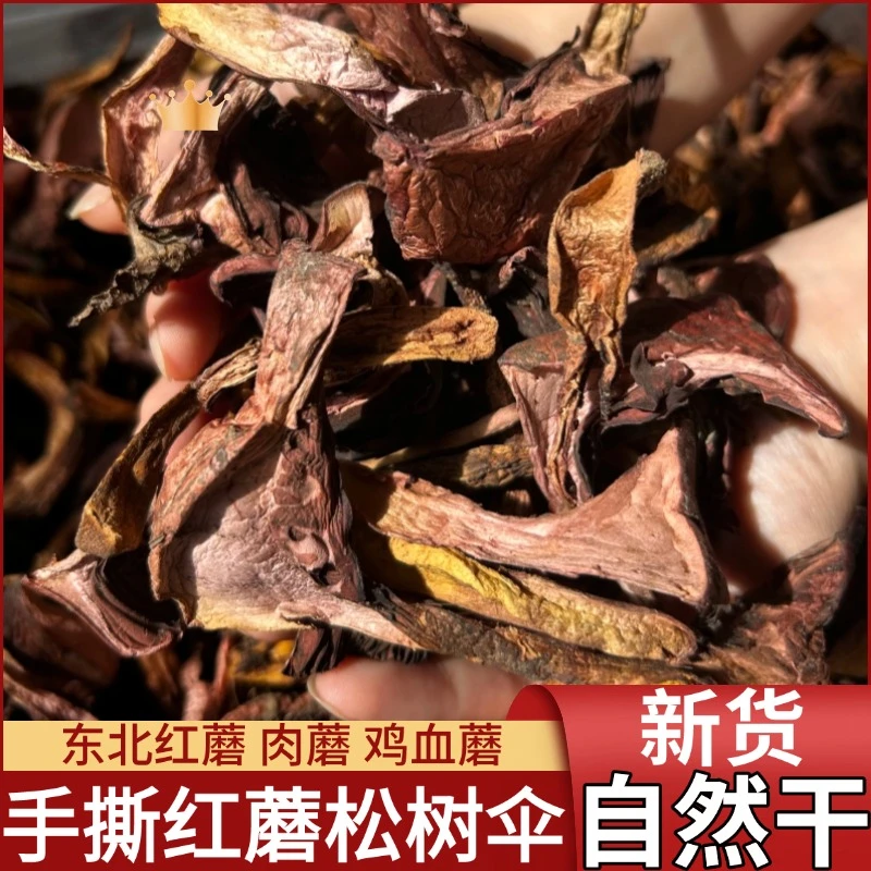 【手撕红蘑买一送一】东北野生松树伞红蘑肉蘑鸡血蘑