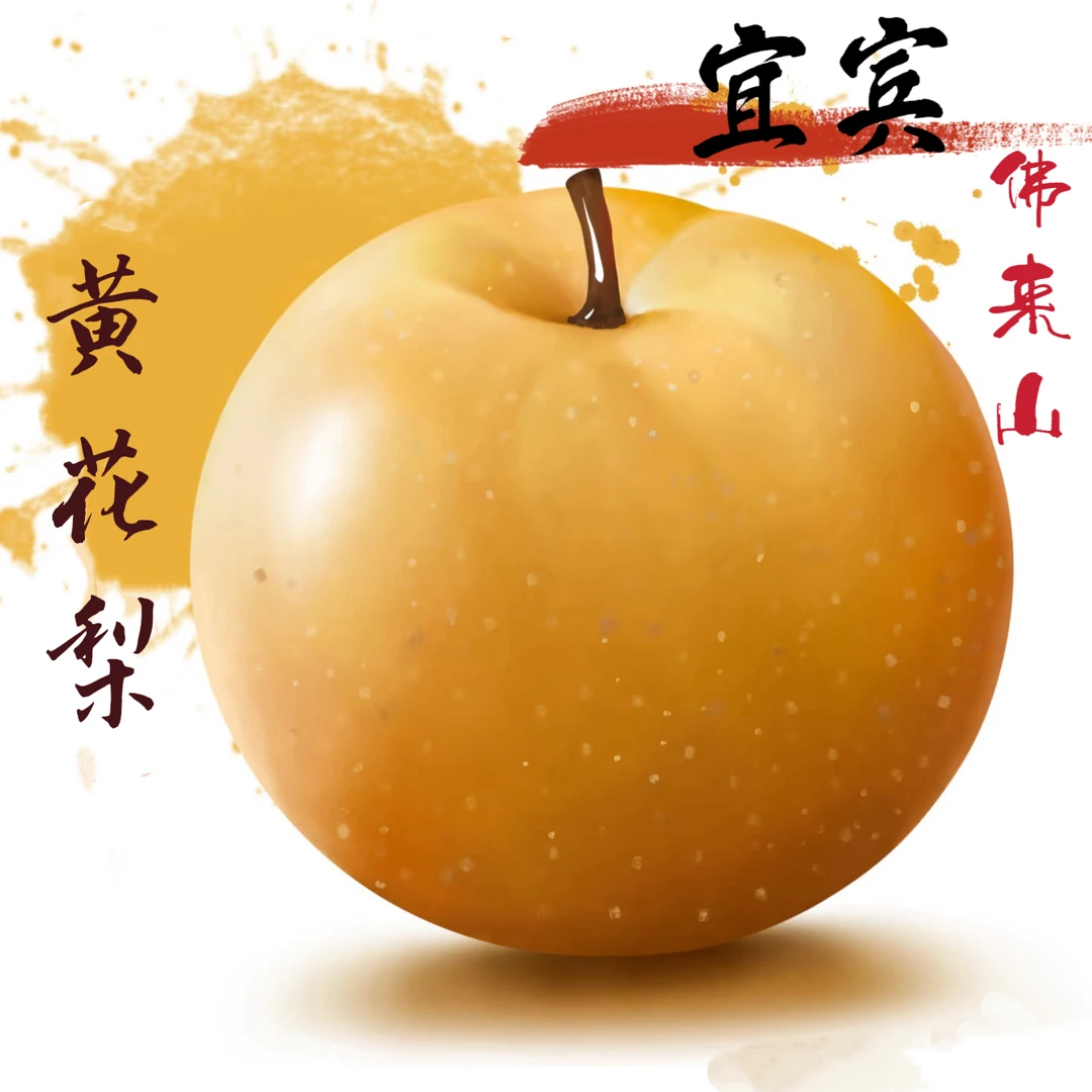 【顺丰包邮】宜宾正宗黄花梨新鲜当季水果秋月梨藤梨香酥梨子冻梨