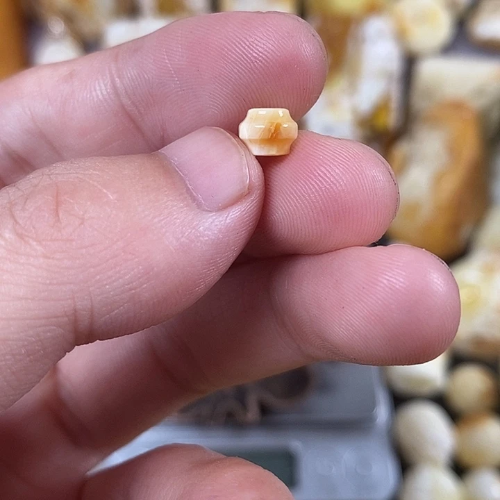 未镶嵌琥珀裸石我