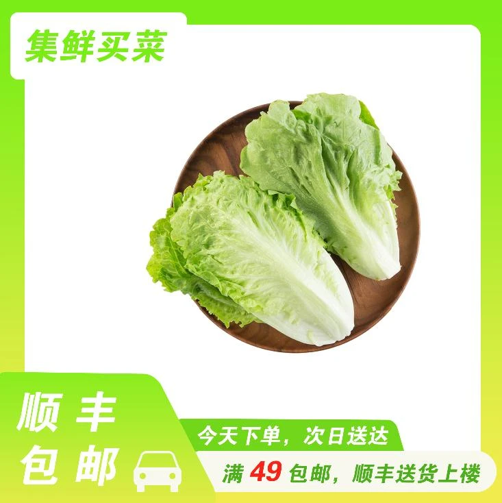 【顺丰包邮】生菜罗马生菜150g±5g/份蔬菜生菜