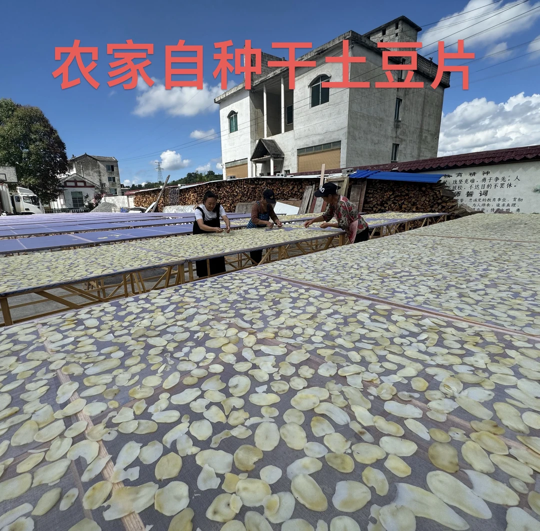 贵州高山手工晒干土豆片特产可炒可煮汤可油炸