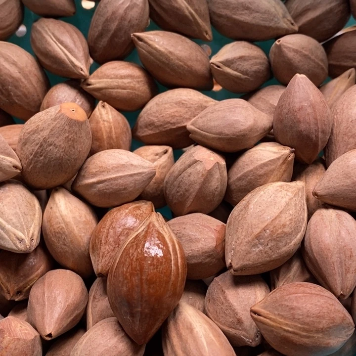 吊坠橄榄核皮***6一斤