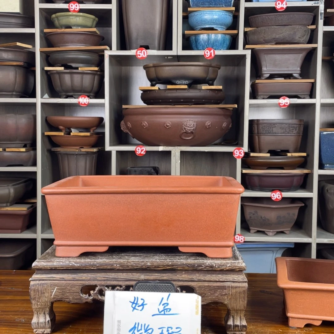 花盆紫砂88888888888