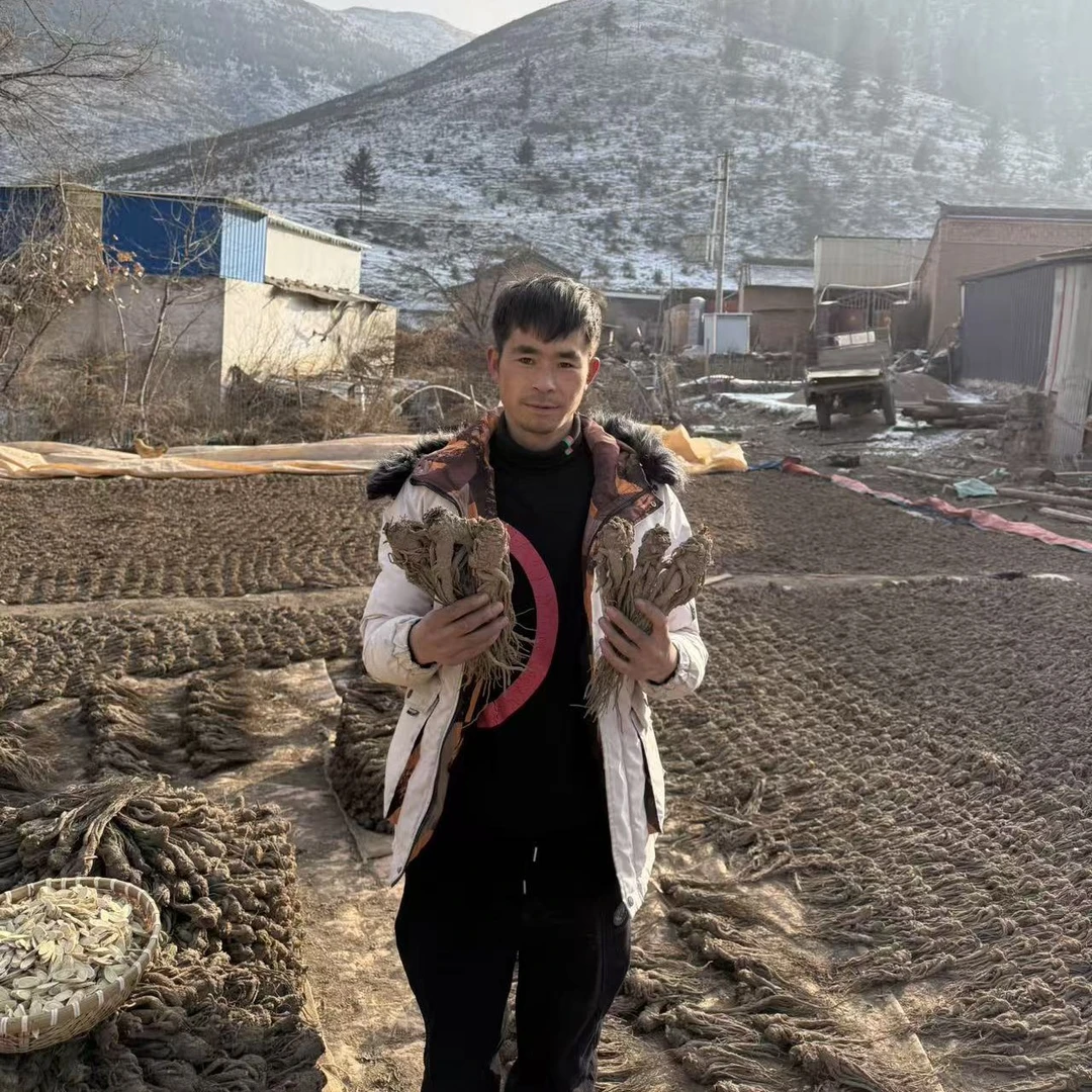 新货干当归整根可煲汤炖肉中药材《随机赠送黄芪主根一条》