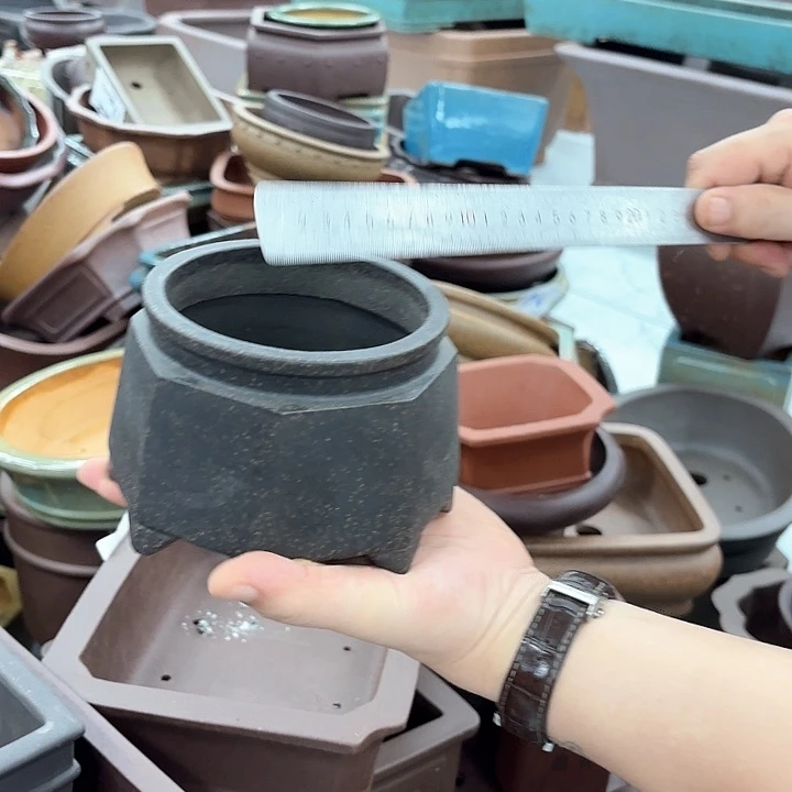 紫砂花盆紫砂的花也太美