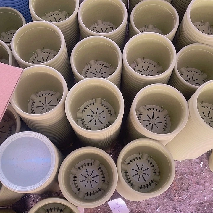 树脂特价福利伊特2号果绿色11个