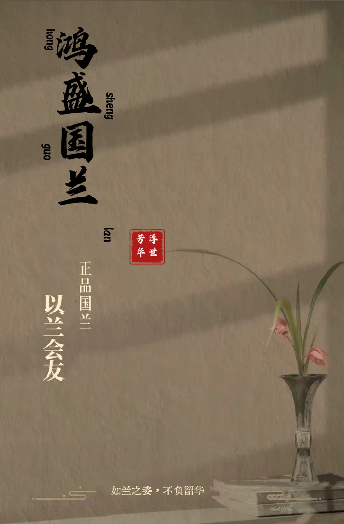 鸿盛国兰直播间链接