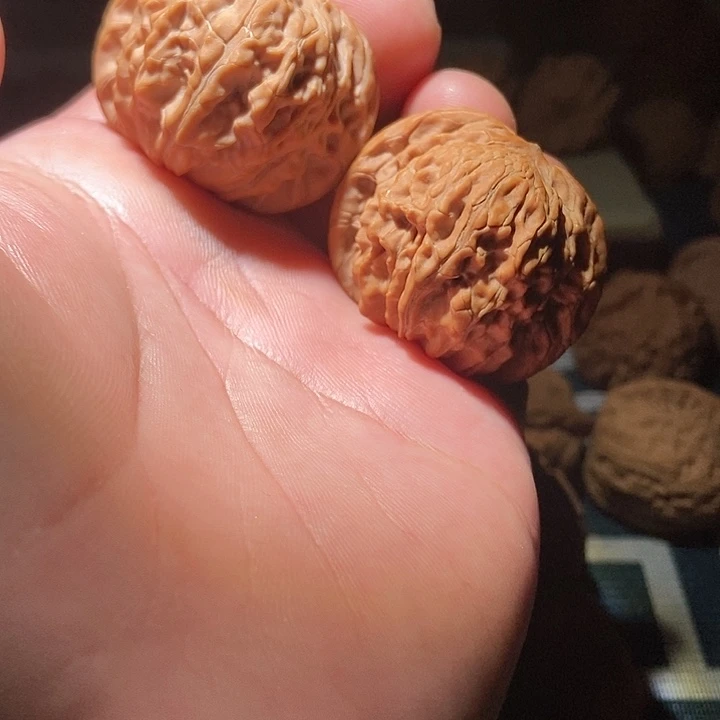 吊坠文玩核桃房山正磨全品