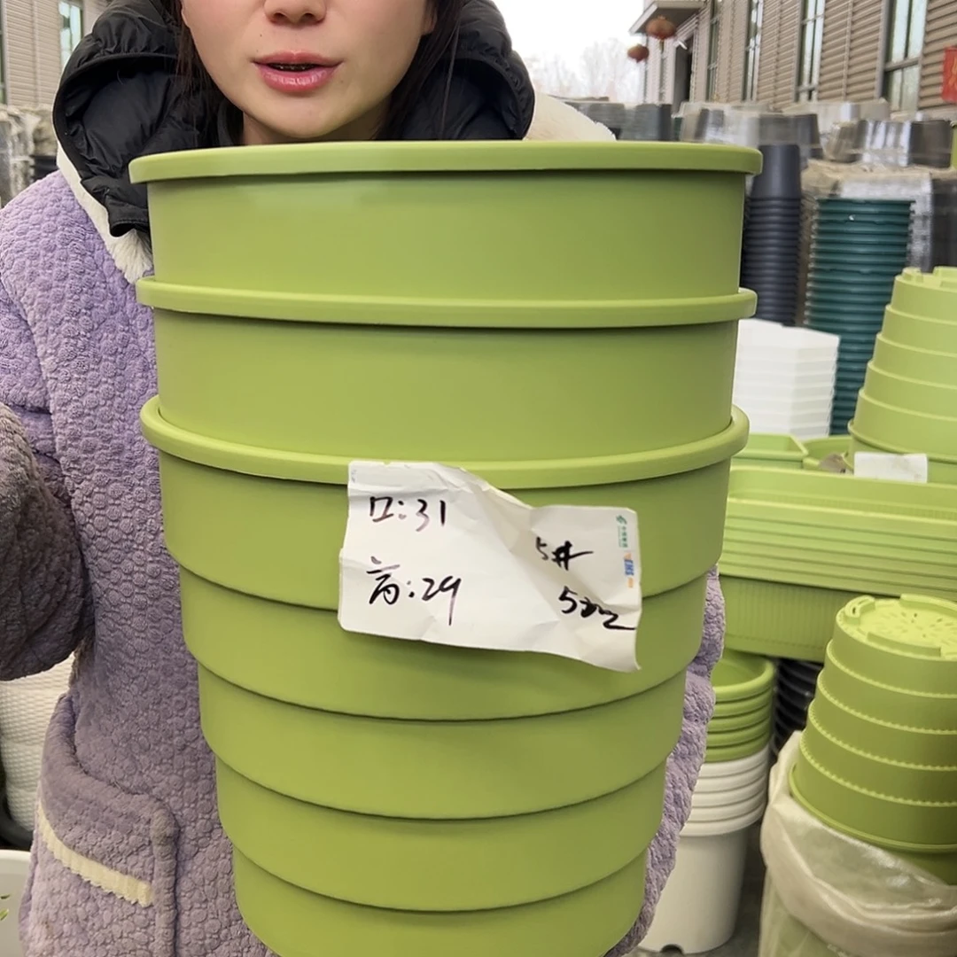 多孔盆5#果绿3个无托