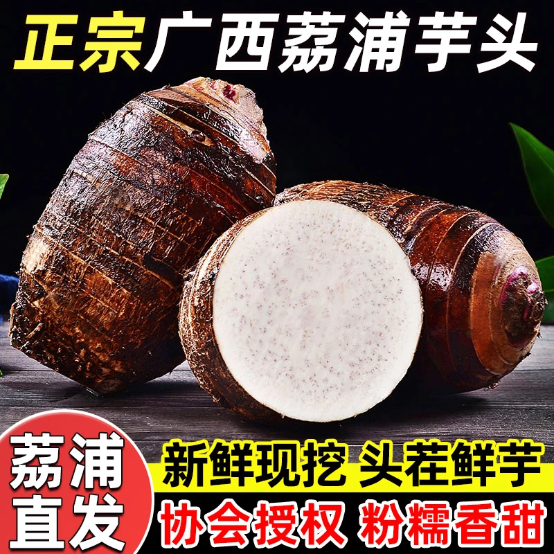 【协会授权】正宗广西荔浦芋头新鲜现挖粉糯香甜香芋大芋头产地直发