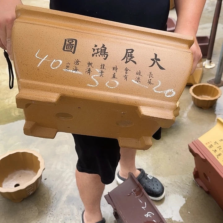 紫砂花盆这是我第一