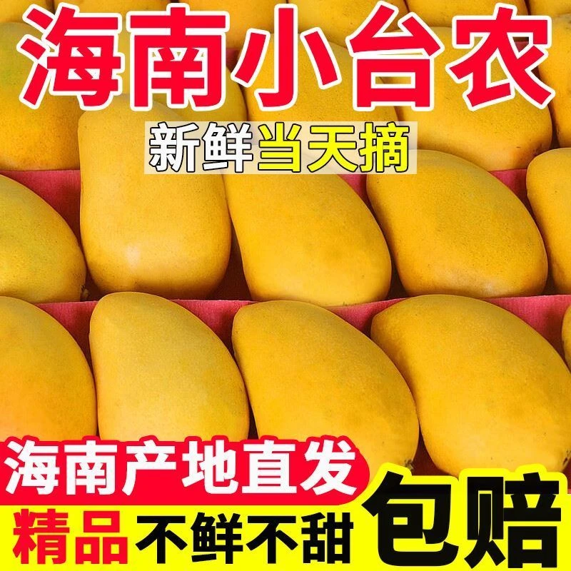 【爆甜】正宗海南小台农台农芒核薄小芒果当季新鲜水果产地直发直播