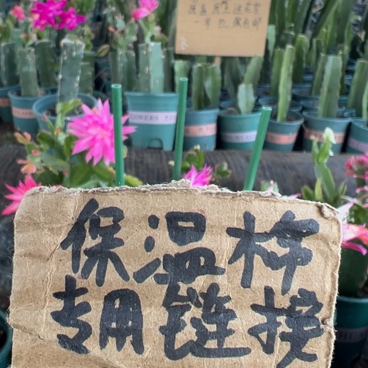 保温棉下单的全部都要拍