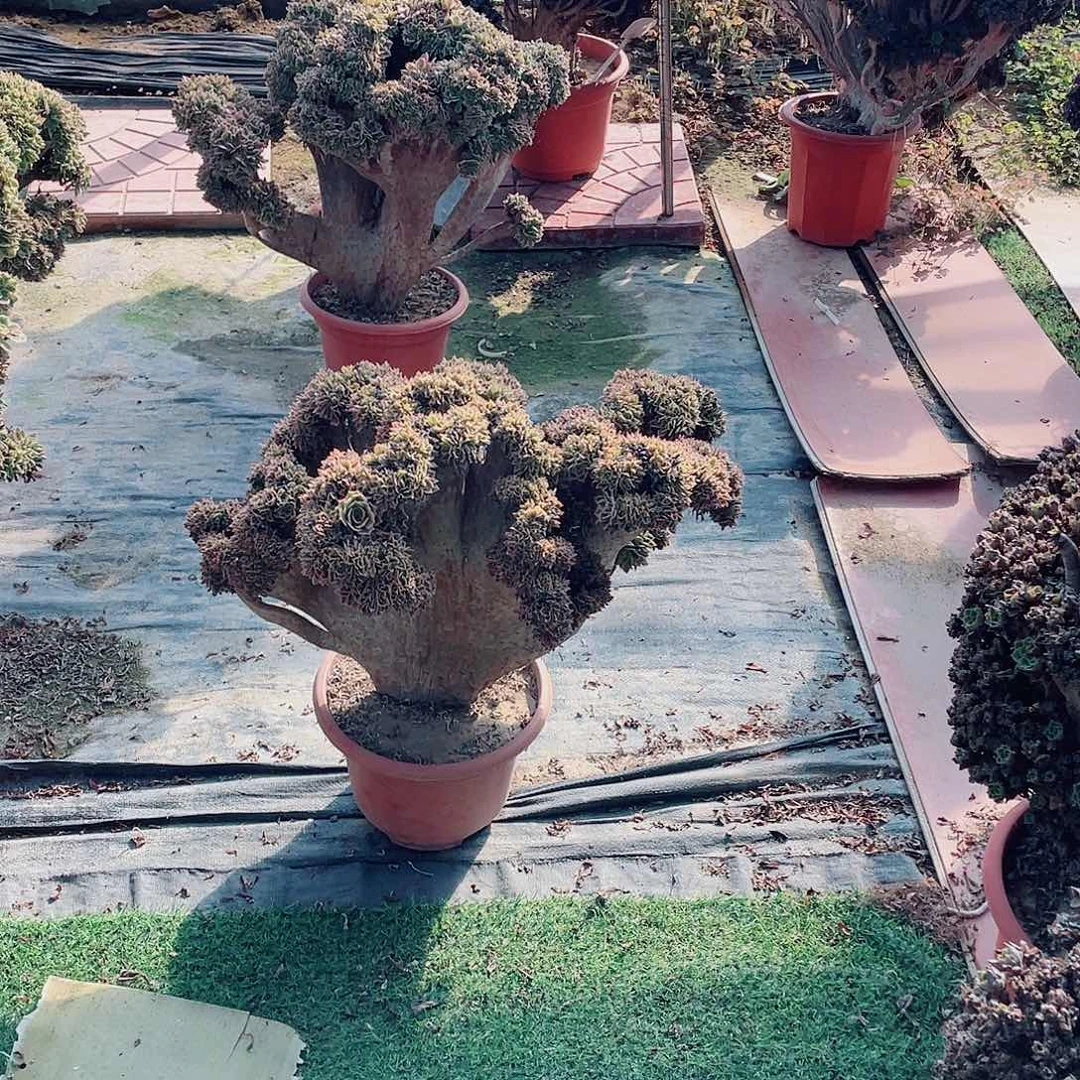 发发个哈哈哈哥哥哥哥