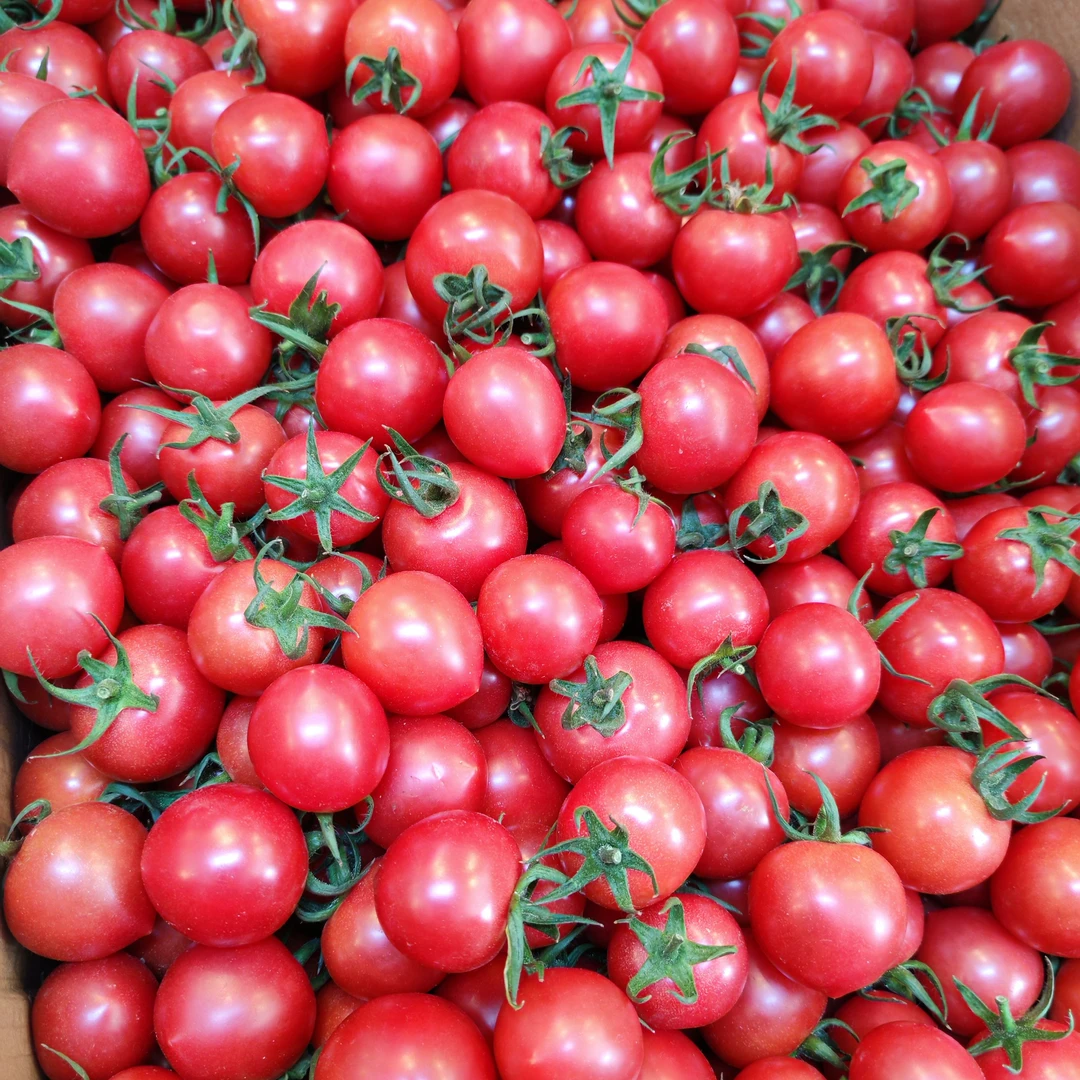 本地玲珑小番茄2斤/份