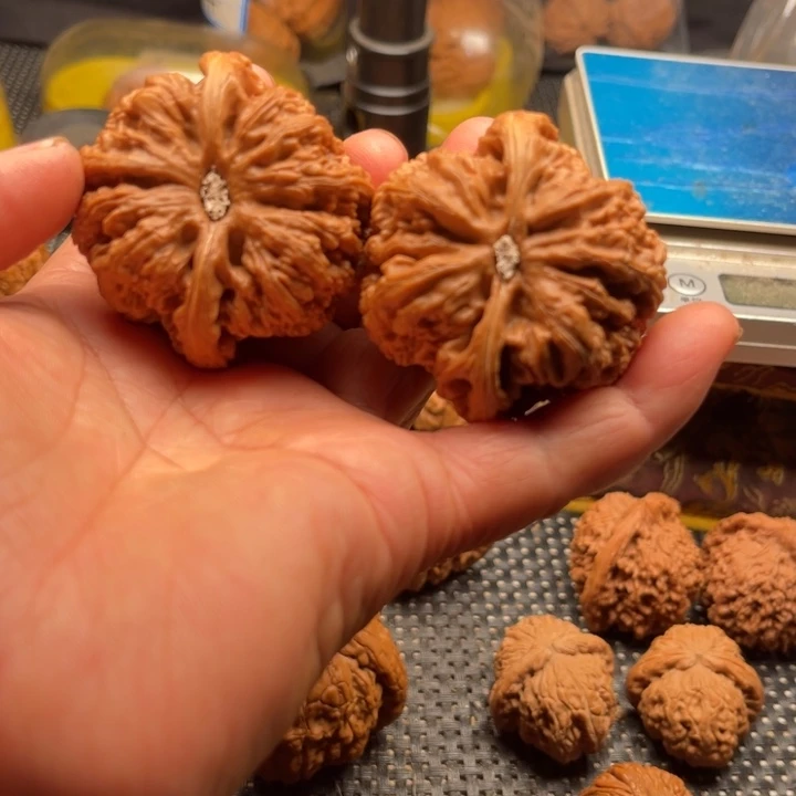 _***洋桃核把件大粗筋边50