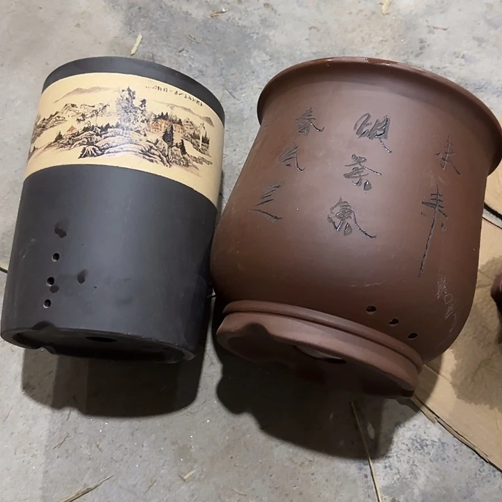 两只专拍