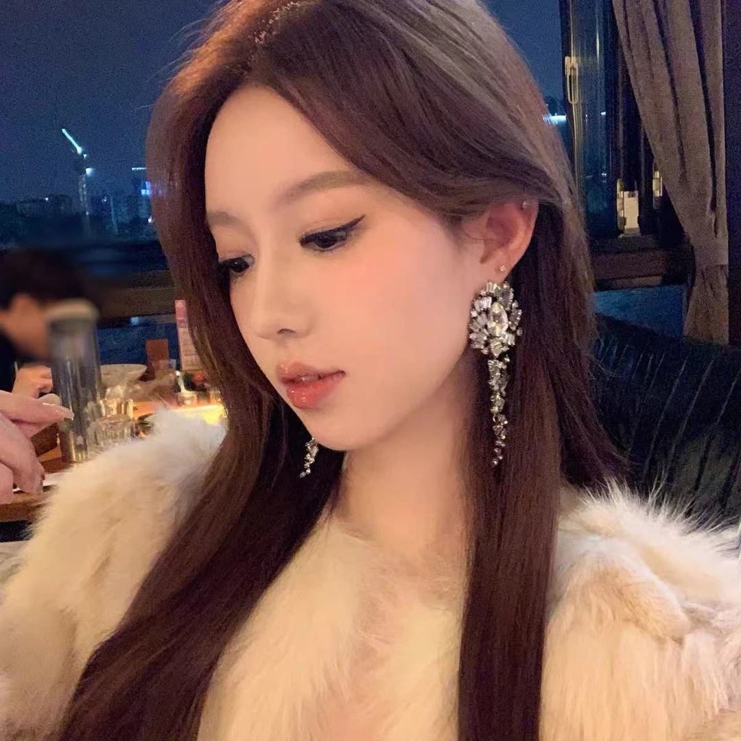 秋冬上新重工夸张锆石流苏耳钉轻奢气质百搭耳环小众设计感耳饰女