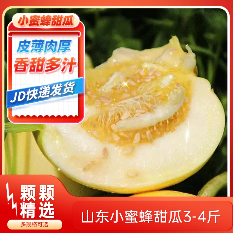 山东头茬小蜜蜂甜瓜早甜脆小蜜罐新鲜直供应季水果生鲜香瓜