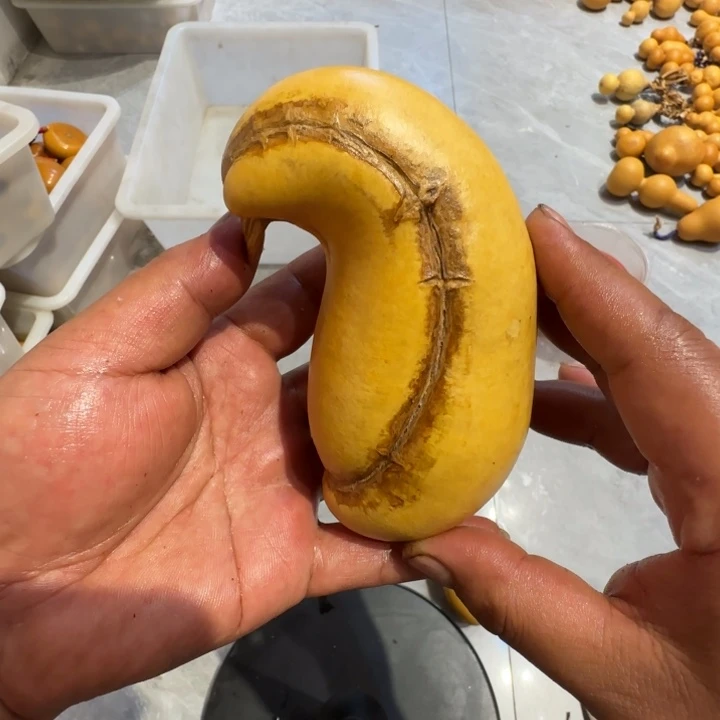 T*T哈哈哈哈哈哈哈哈哈哈哈哈哈哈