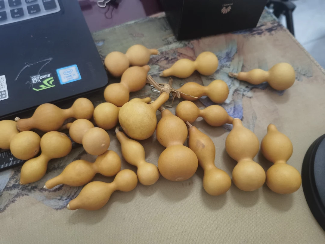 绕指柔一物一拍选好再拍有纯天然痕迹介意勿拍