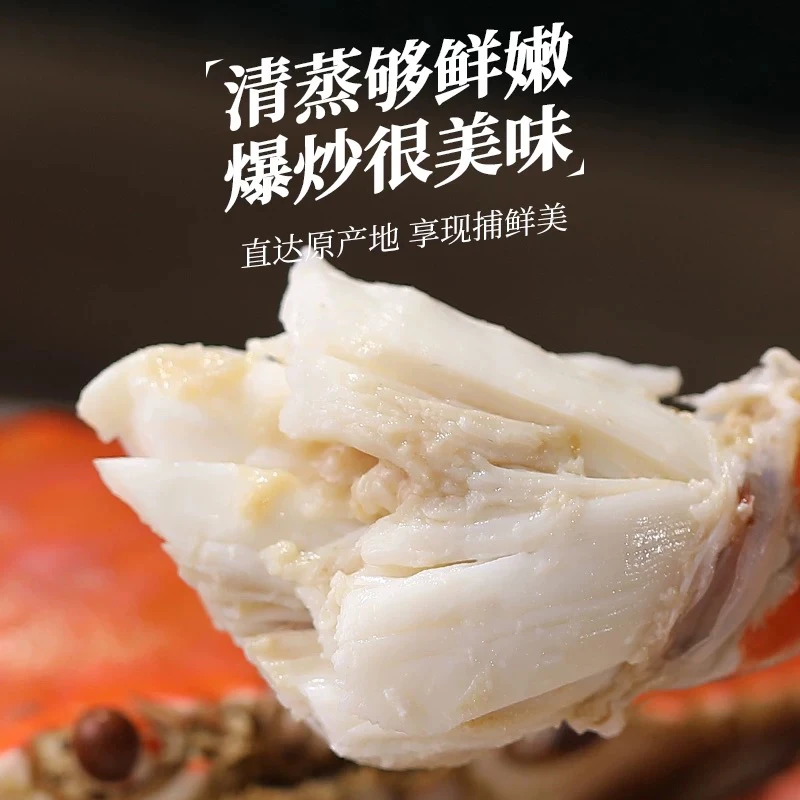 【保鲜不保活】、2-3只/斤（总重）梭子蟹公蟹海蟹每只三四两左右