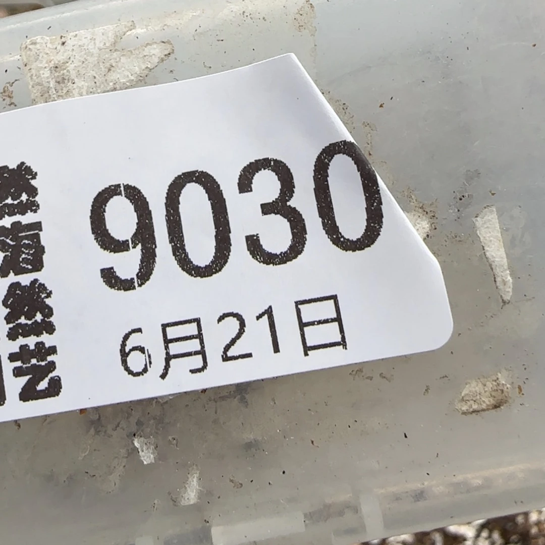 哪****6.21。 高腿小216。9030