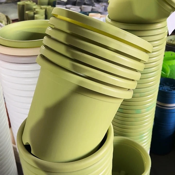 四季5#口径29果绿10个无托