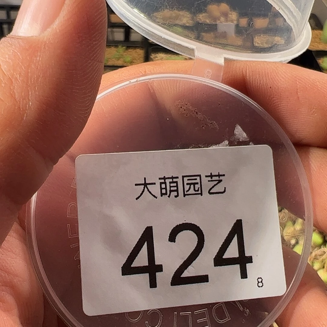 流*瑶0000424 一物一拍……