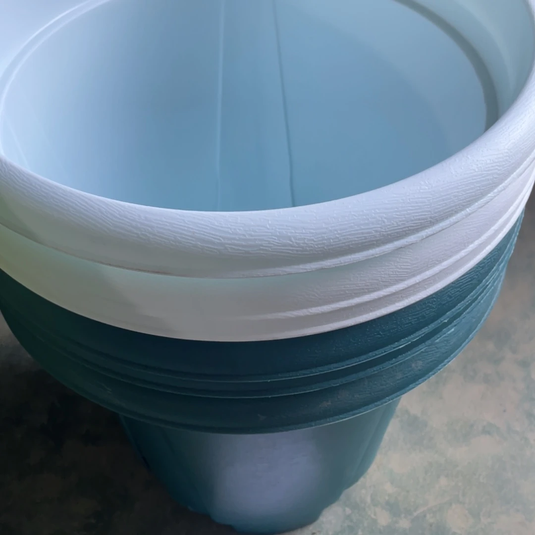 编号是12号的12号的