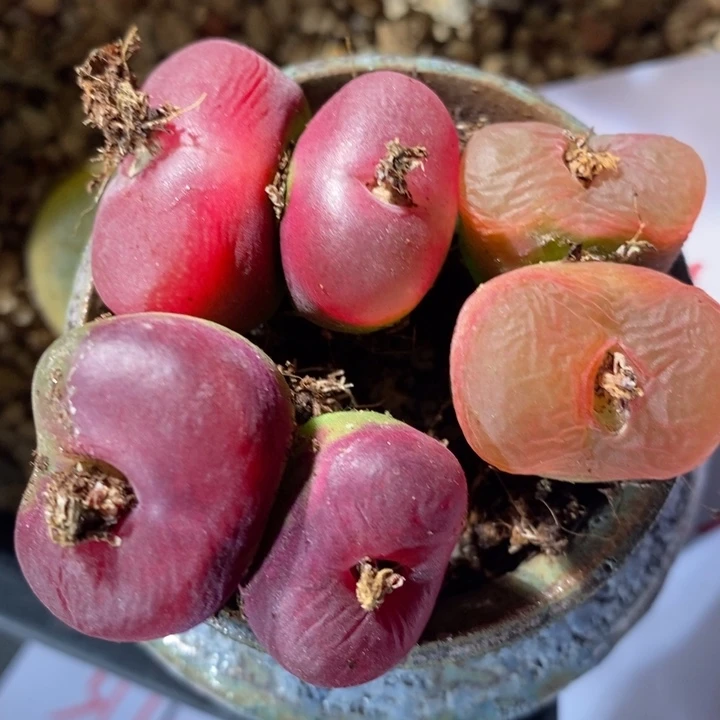 31209一组一组一组