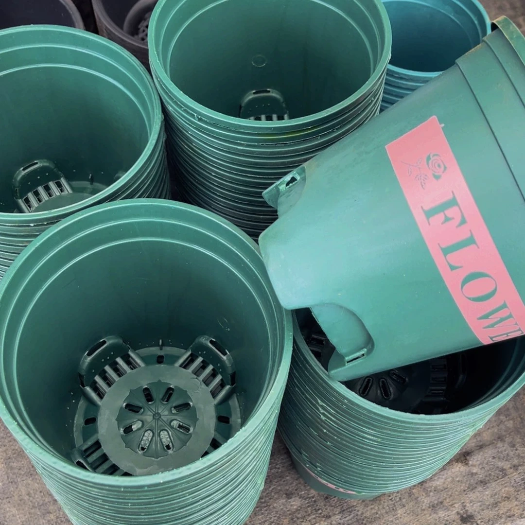 口径17高17绿加仑盆10个