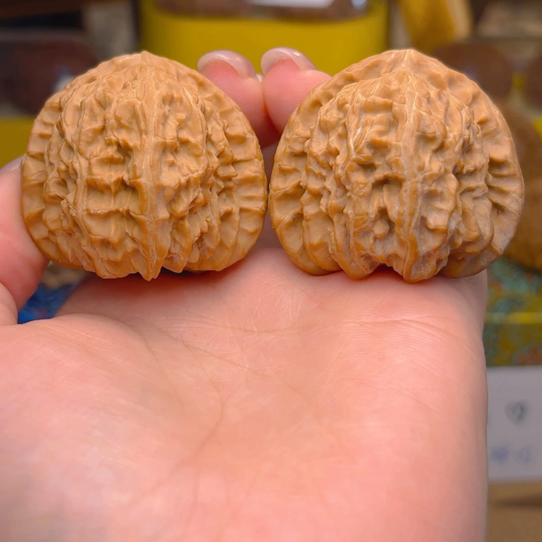 白狮子头四十三尺