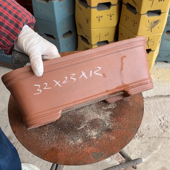 花盆紫砂只顾看着自己