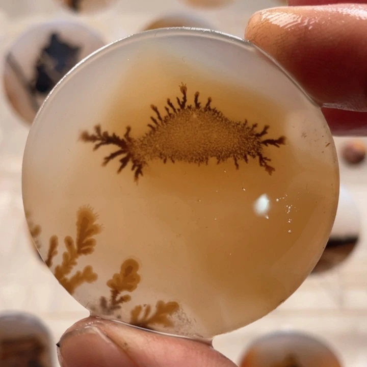 未镶嵌吊坠(不含链)玛瑙/玉髓