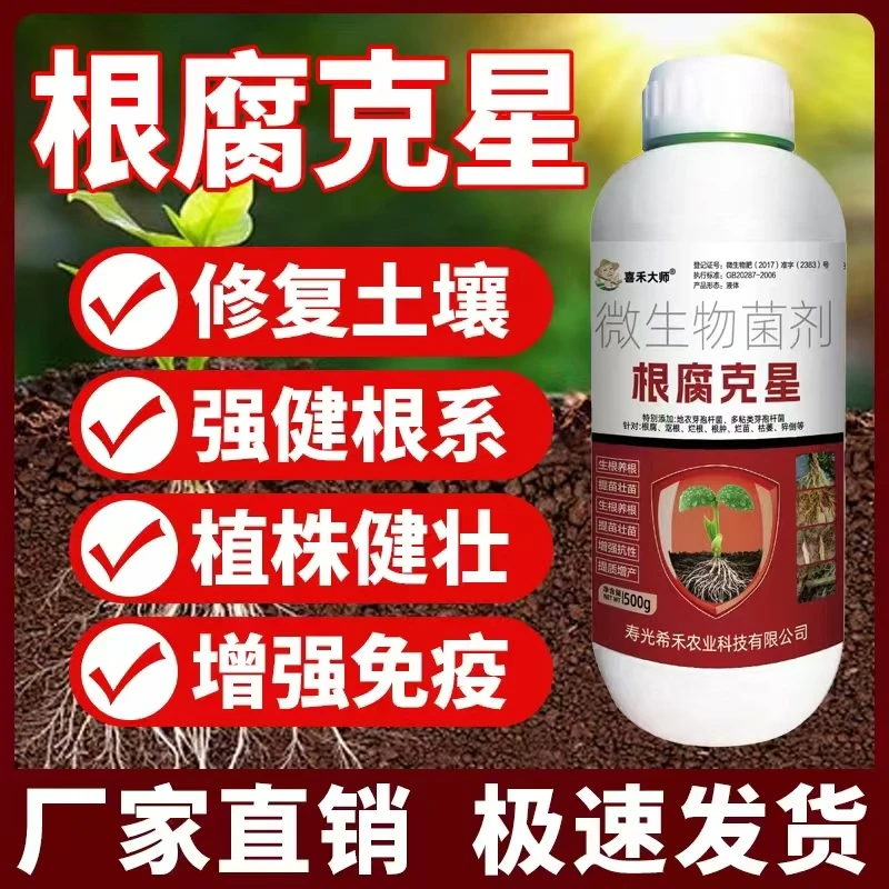 根腐病克星茎腐病青枯病生姜烂脖子病烂根死苗死棵肥料农用杀菌